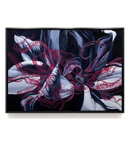 Octopus IV